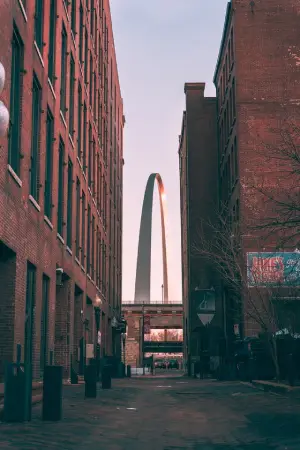 translation agency st louis image