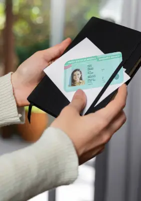 Driver License Translation Image